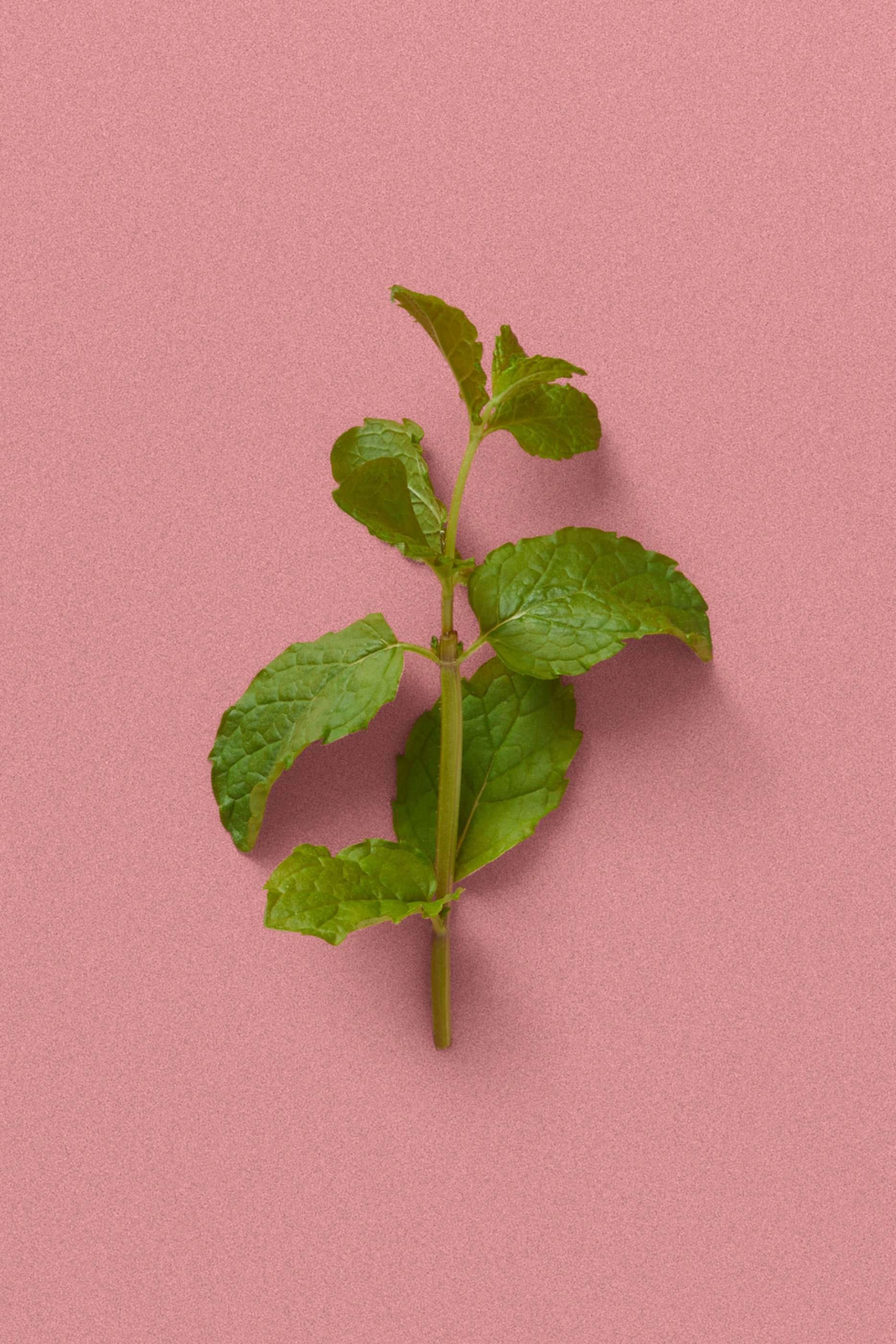 A Gloaming Night Eau de Parfum 50ml