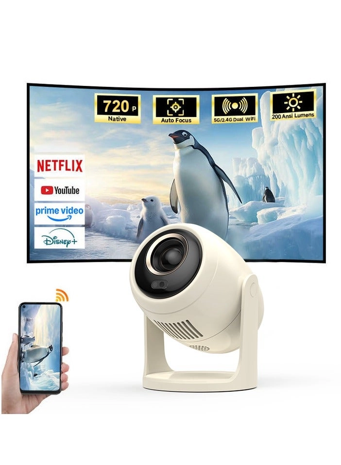 HAMMINER B10 200 ANSI lumens 720P