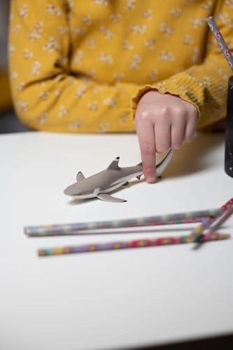 Marine Life - Blacktip Reef Shark (56034)