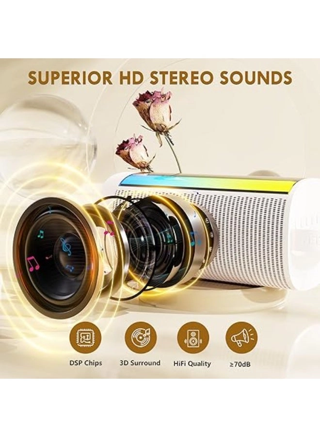 Karaoke machine - 2 wireless microphone