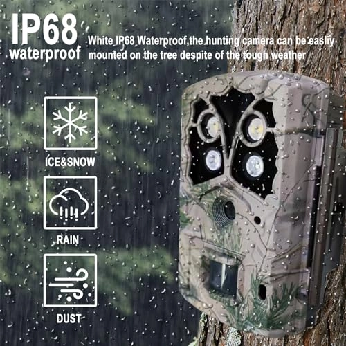 LY590-D4K - 45 megapixel