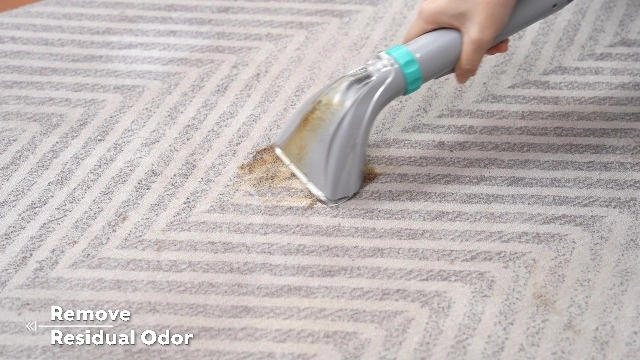 StainZapper Vapo - Cold Water Hot Water Steam 1200 watts