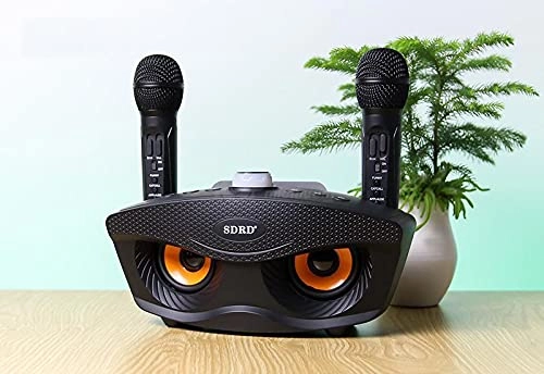 SD306 - 2x Bluetooth speaker microphone 2x10w