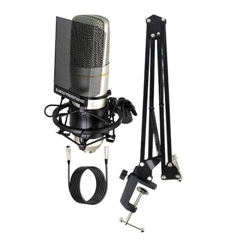 ZX89 Wired Microphone - 48V Large Diaphragm