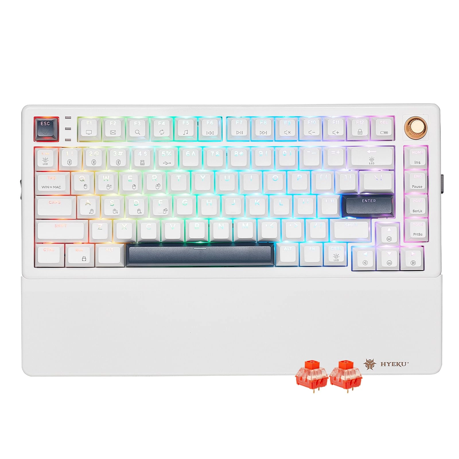 E2s Pro - Wired/Wireless