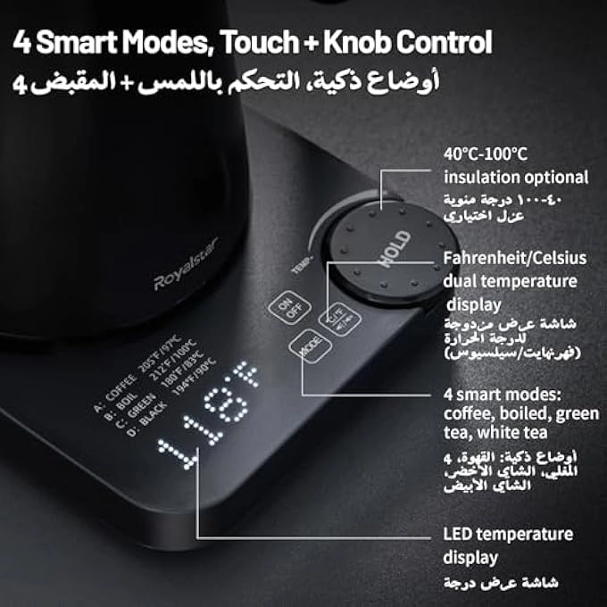 Temperature Control Gooseneck Electric Kettle