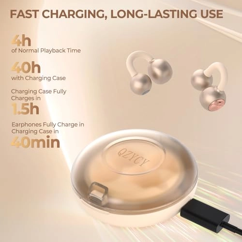 DL3 Wireless Earbud