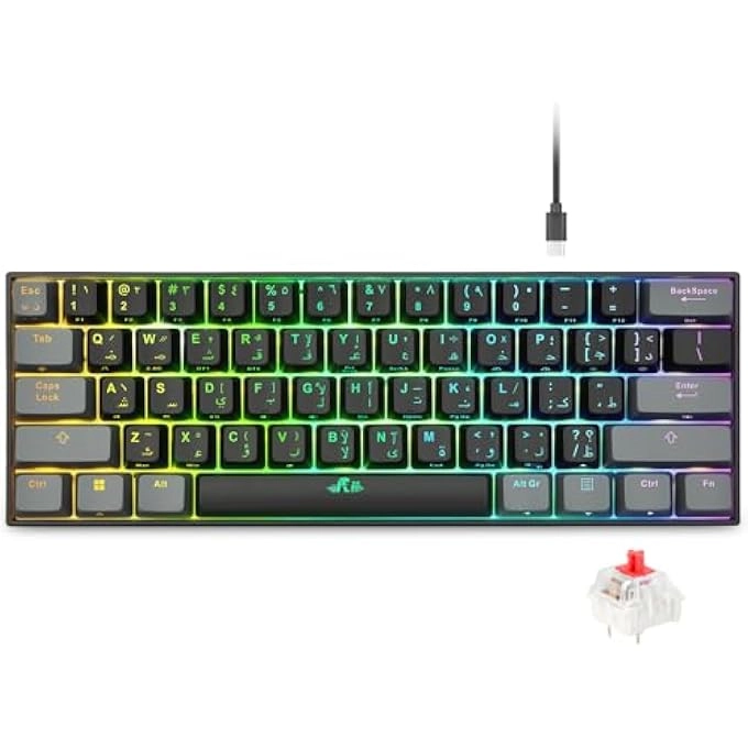 rayihni RK802 - AR/UK Wired/Wireless