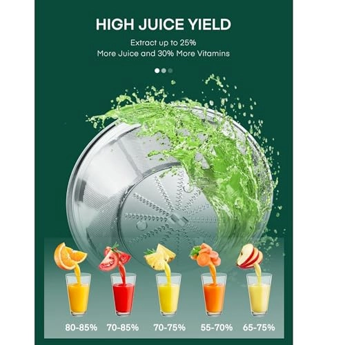 Electric Juicer Machine - 600W 500ml