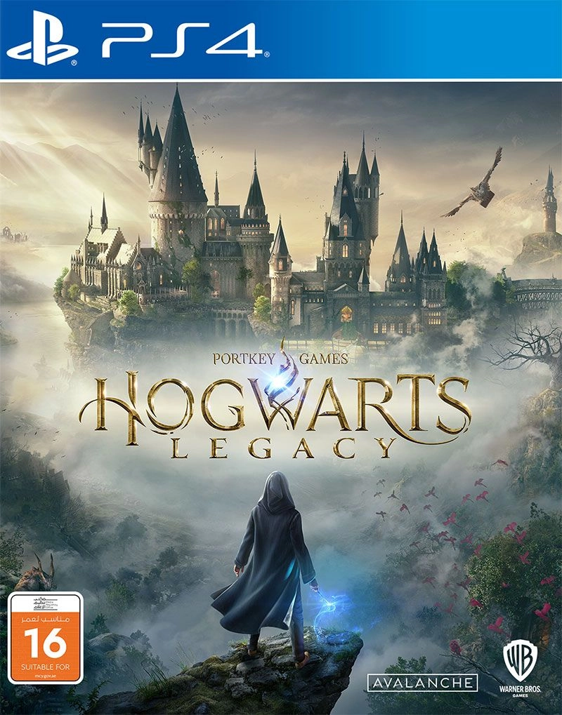 Warner Bros. Games Hogwarts Legacy - PlayStation 4