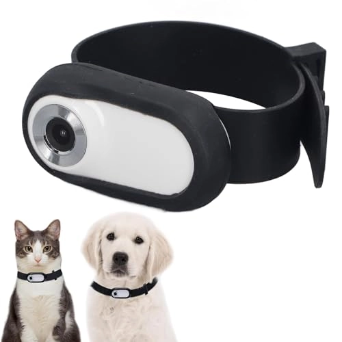 Cat Collar Camera