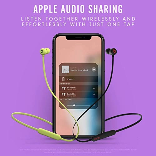 Flex Wireless Earphones