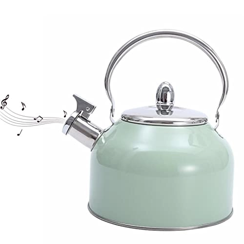 Stainless Steel Kettle - 2.5L