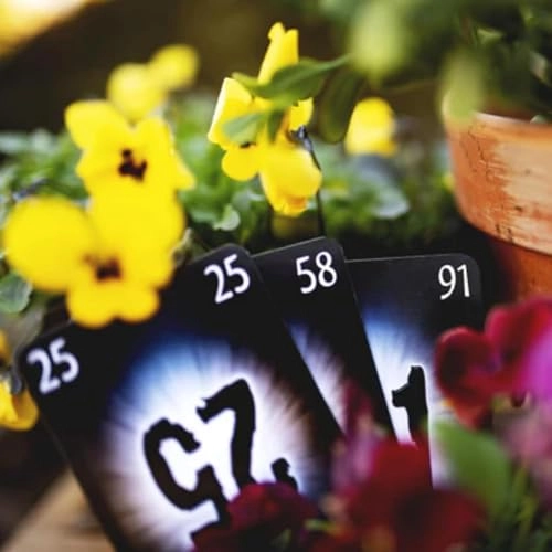 The Mind - Card Game