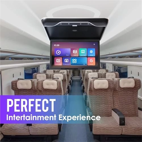 Roofmount LCD Monitor - 19in