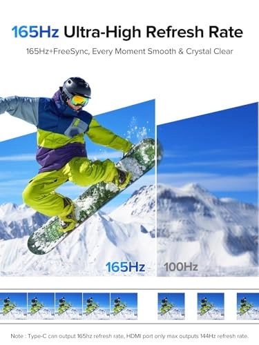 Portable Monitor - 24.5" 2560x1440