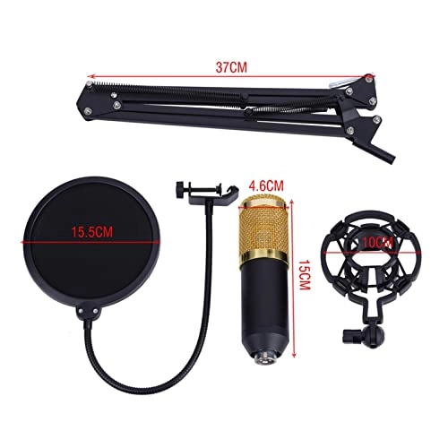 BM800 USB Microphone