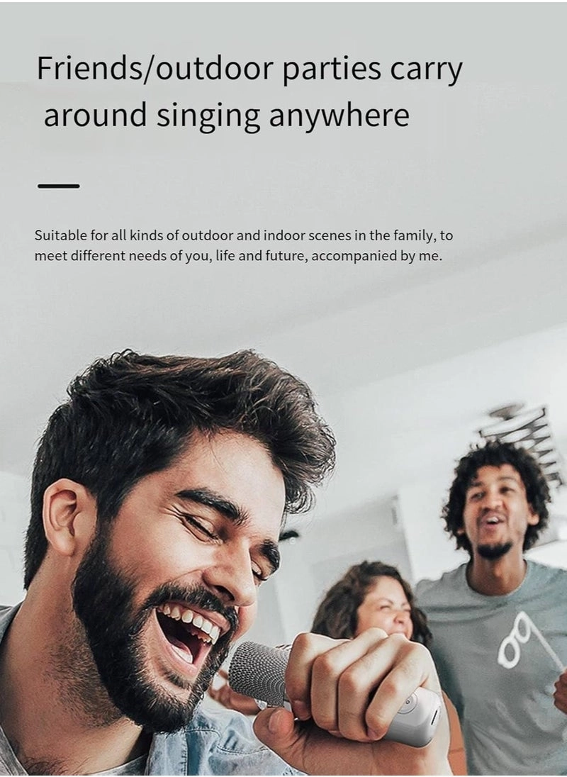 SD-508 - Dual Wireless Microphones