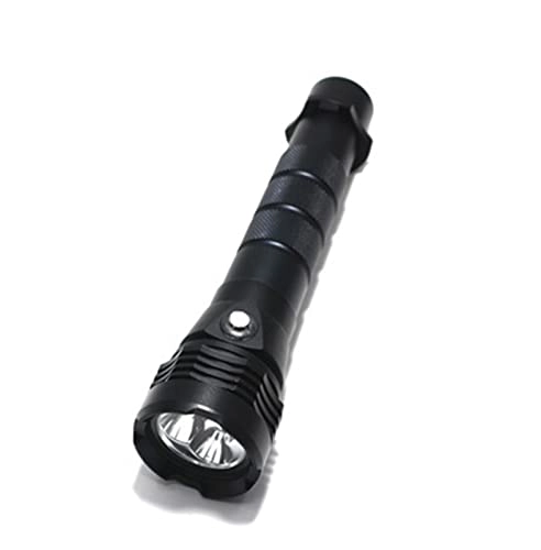 Professional Submersible Light