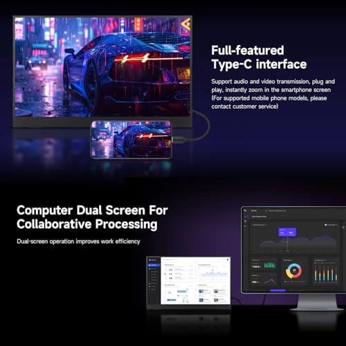 DHX-15.6inch Portable Monitor