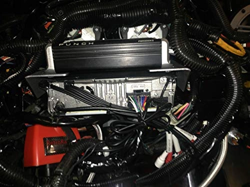 Amplifier mount