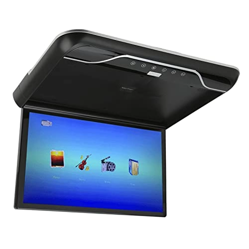 Roofmount Monitor - 19in