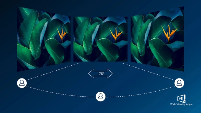 IPS LED wide view technology for image and colour accuracy