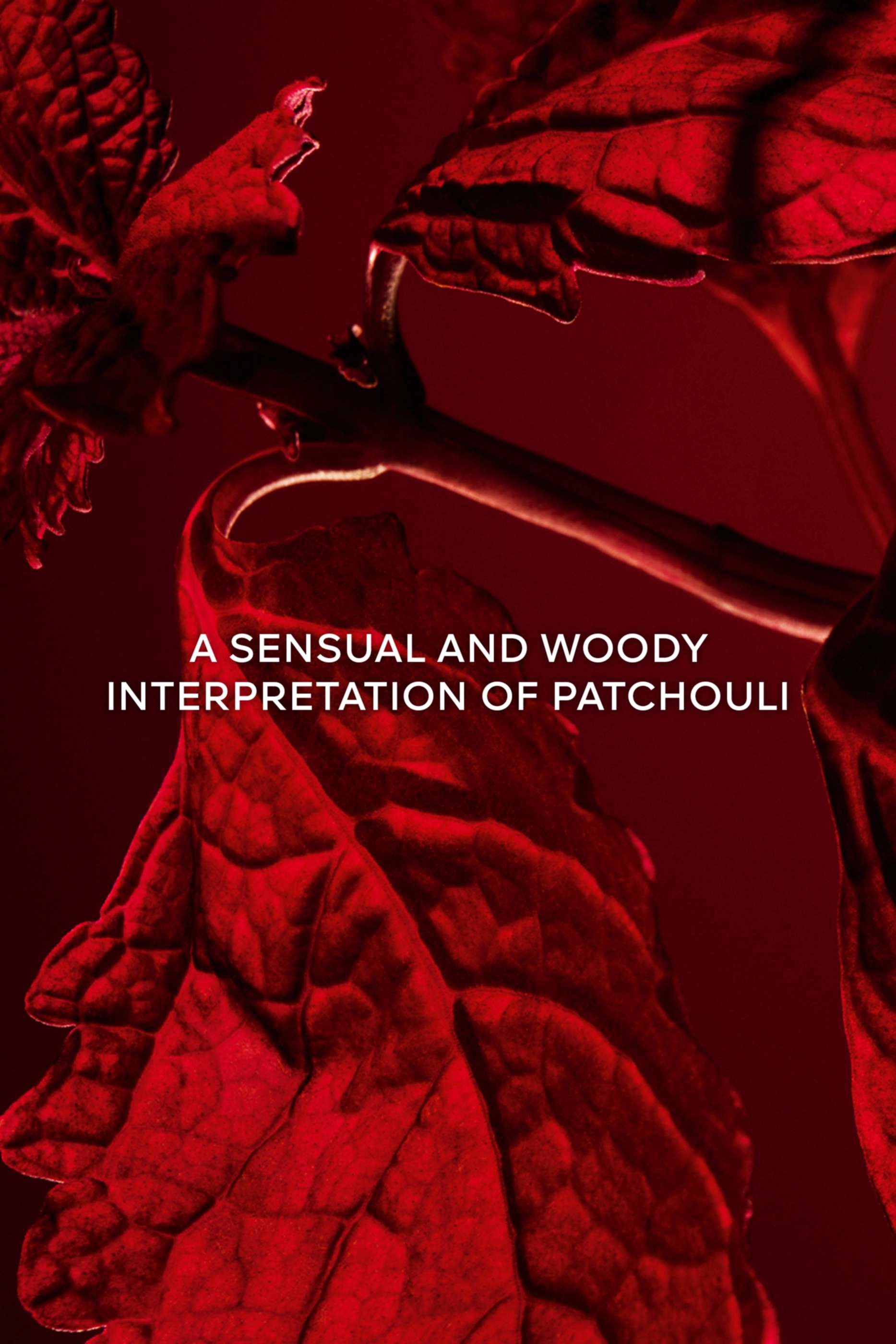 Patchouli Paris Eau de Parfum 100ml