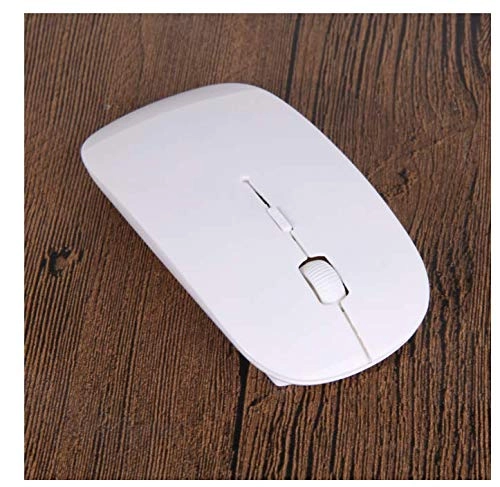 Optical Mouse - USB