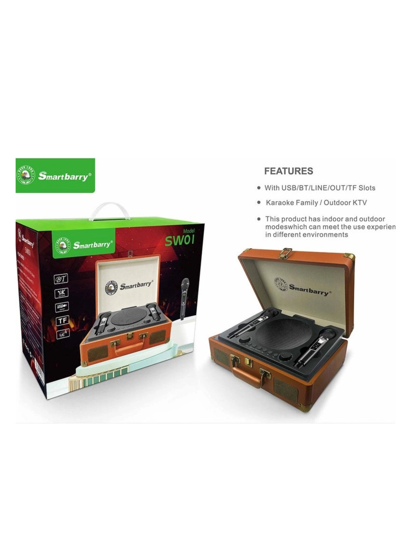 SW01 - Dual wireless microphones