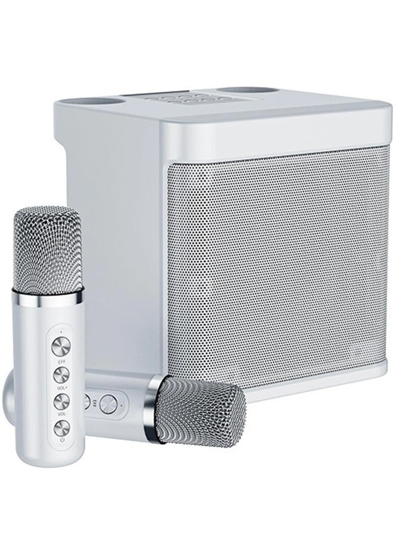 SD-508 - Dual Wireless Microphones