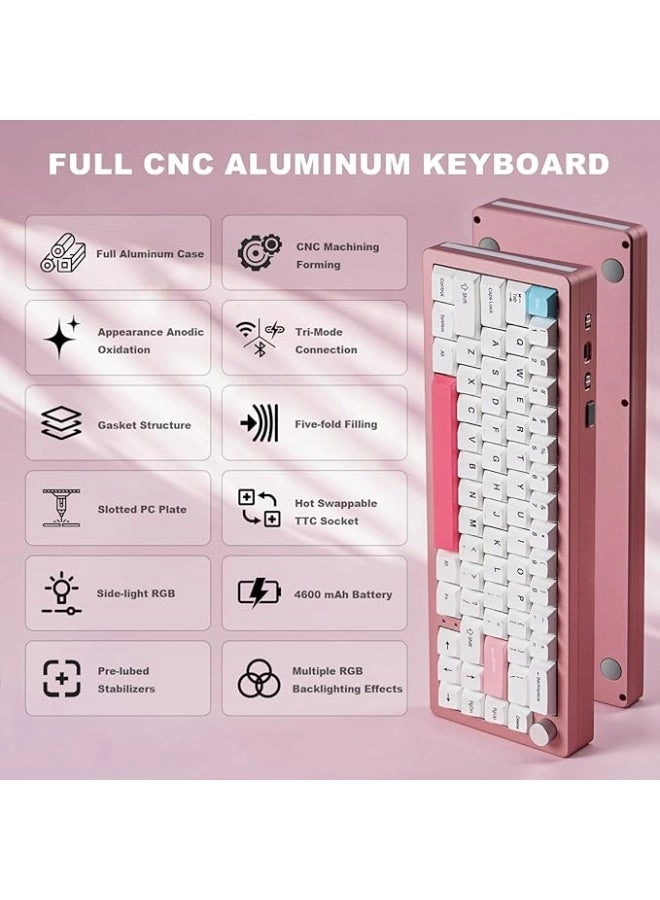 AL66 - 65% Wired/Wireless