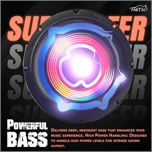 10 Inch Subwoofer - 250W