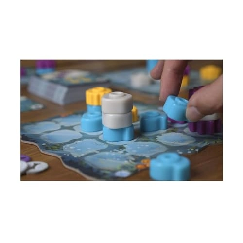 Reef: Second Edition