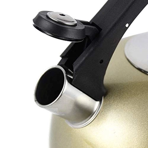 Stovetop Induction Whistling Kettle - 5L