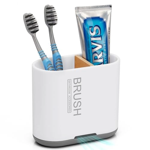 Chintu Toothbrush and Toothpaste Holder