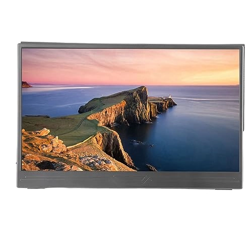 Portable Monitor - FHD 14 Inch