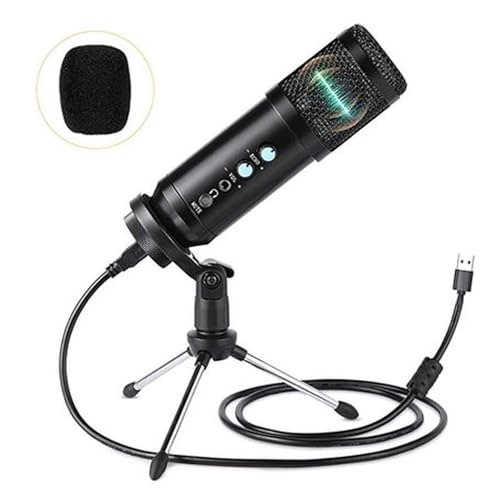 SE0069DG9 USB Microphone