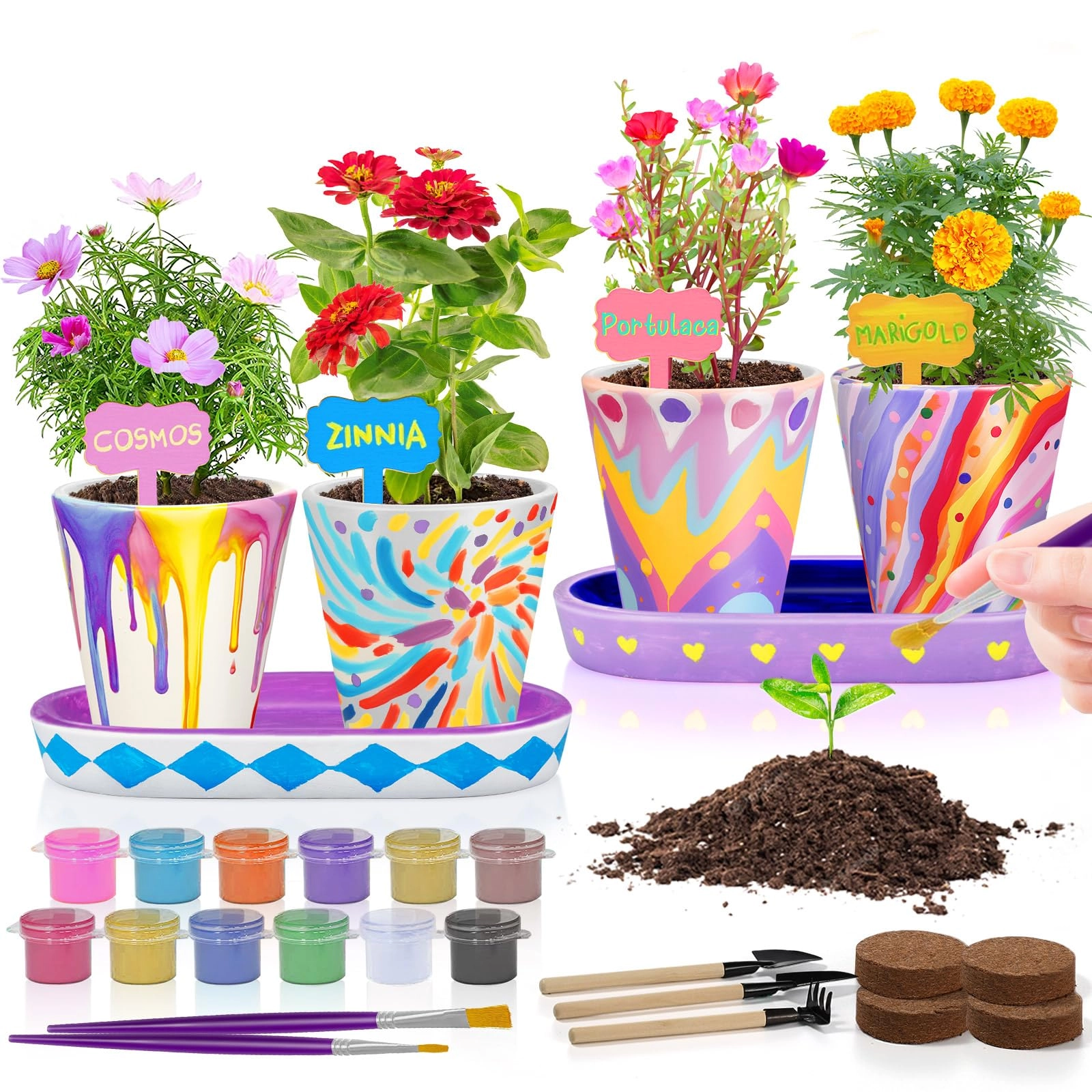 tekoly Flower Growing Kit - 4 piece(s)