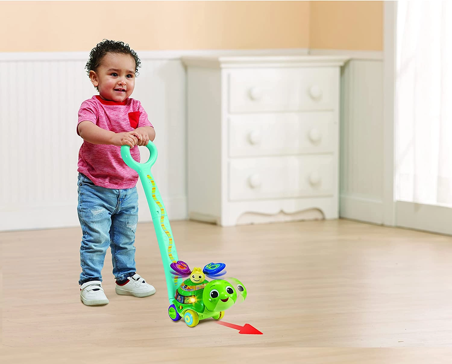 Push & Discover Turtle - 2-in-1