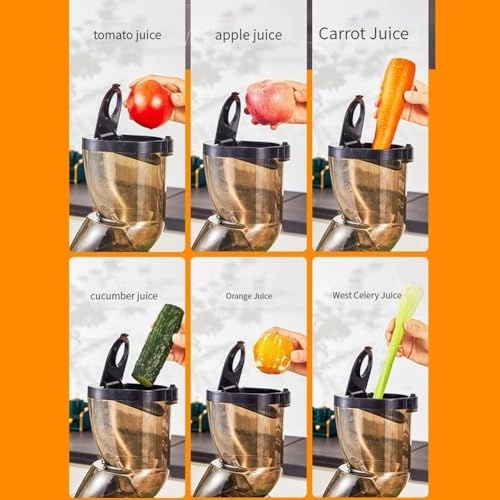 Slow Masticating Juicer - 250W 1L