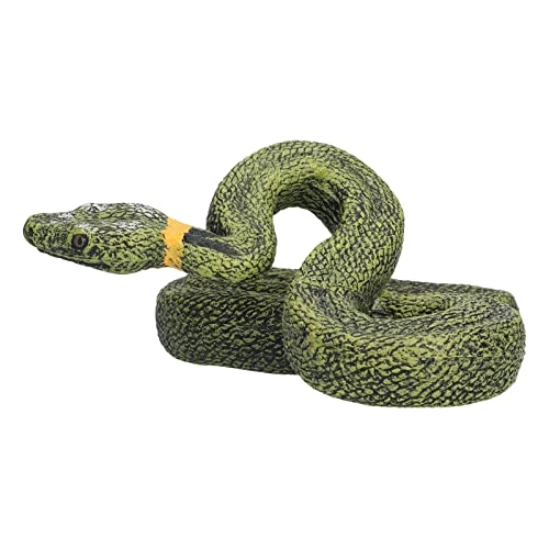 Snake Model - PVC
