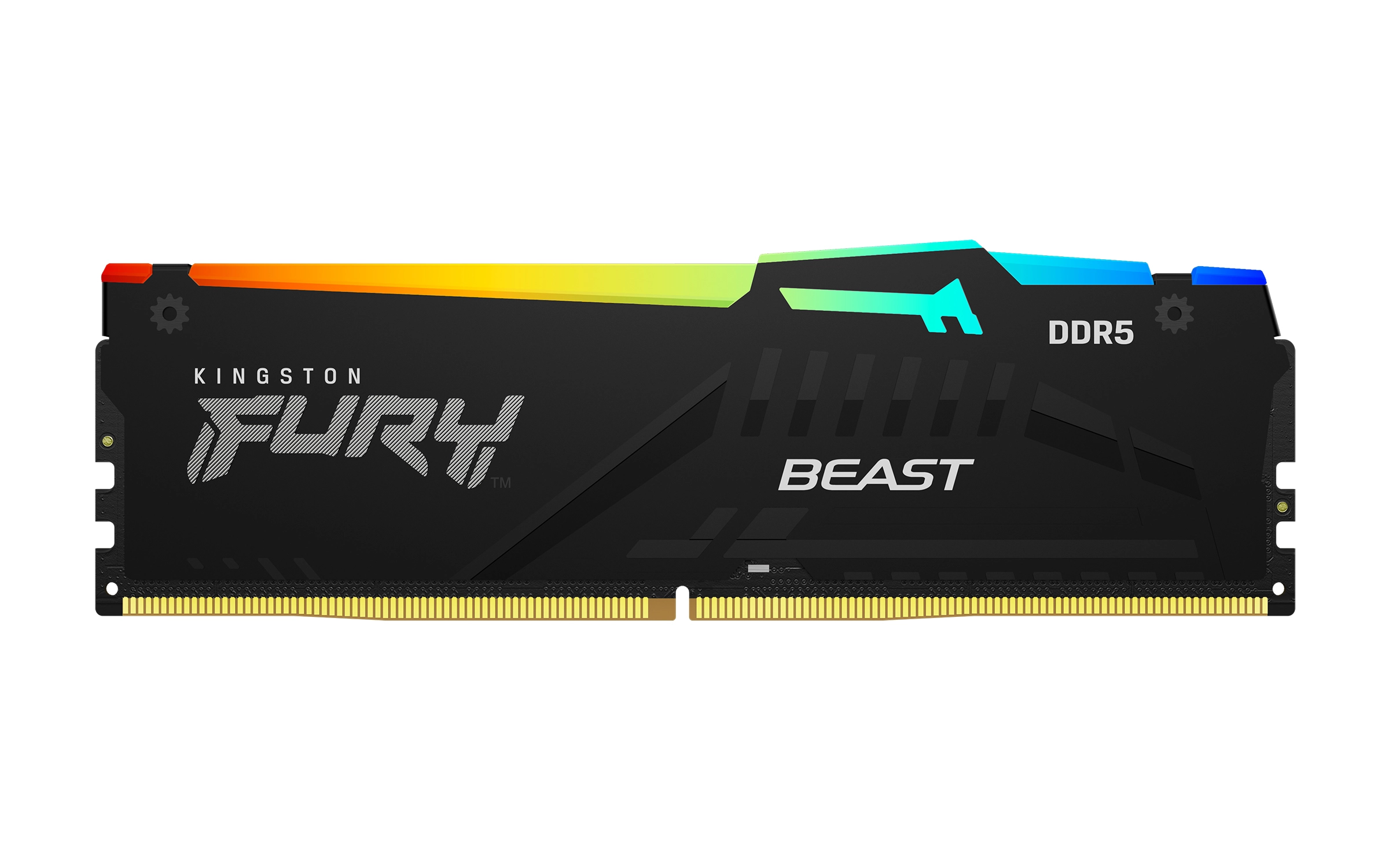 Fury Beast - 64GB 5600MT/s DIMM DDR5