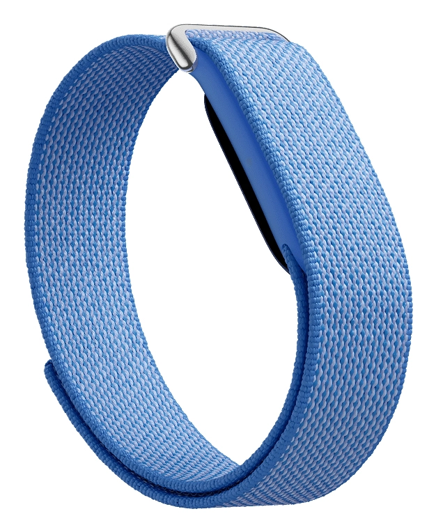 Google Fitbit Air