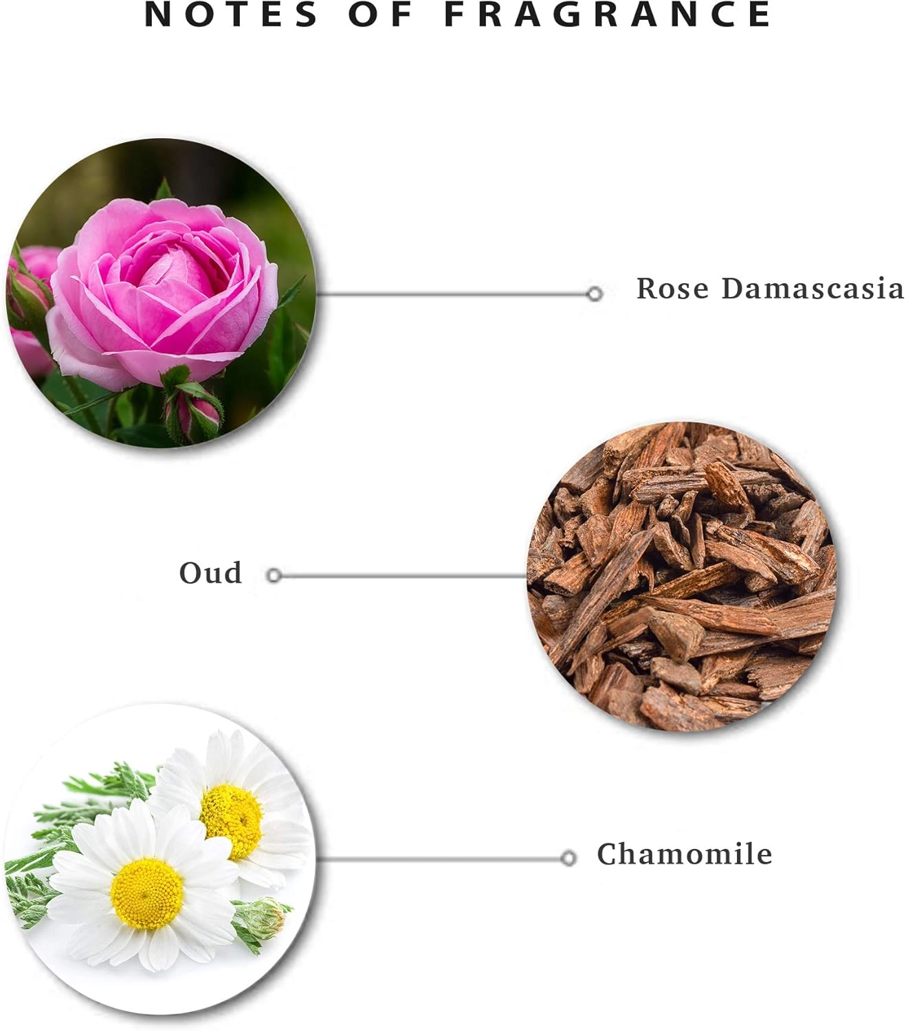 Rose Oud Amour Eau de Toilette 100 ml