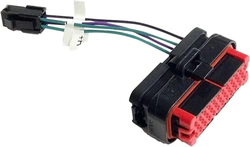 RR PLUG-AA