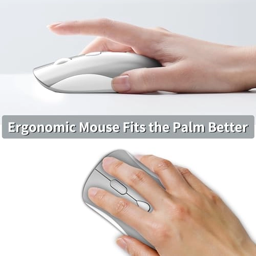 Ergonomic Optical Mouse - USB Wireless