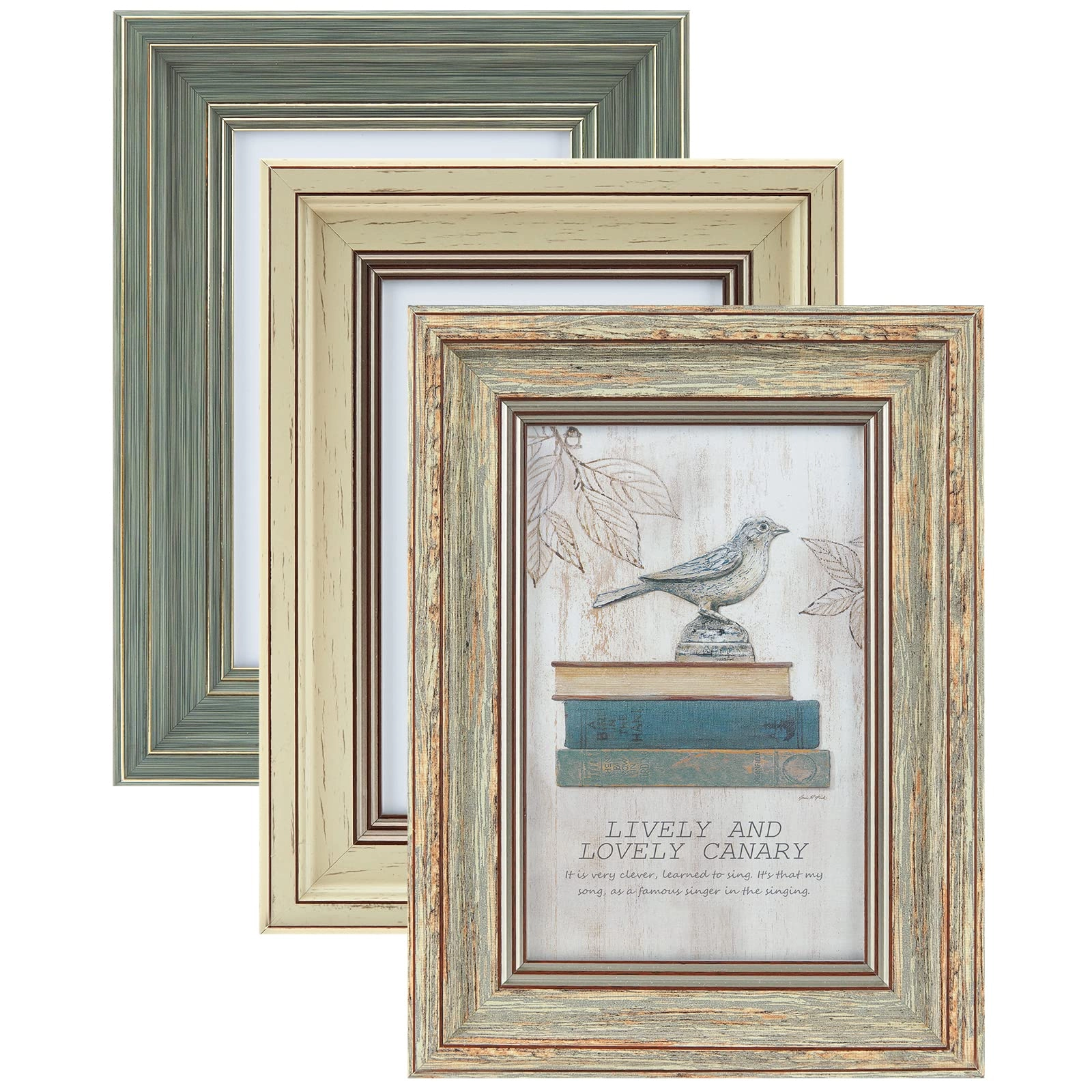 Picture Frame - 4x6 Pack