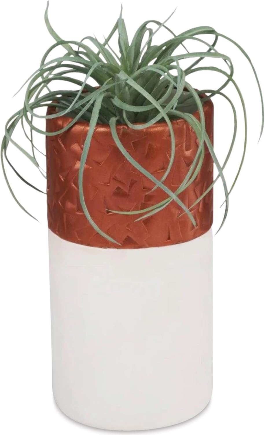 Premo - polymer clay 681g