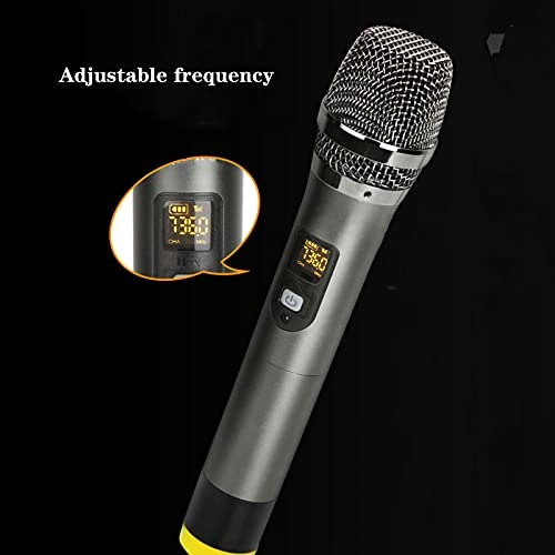 BM 800 Wireless+USB Microphone